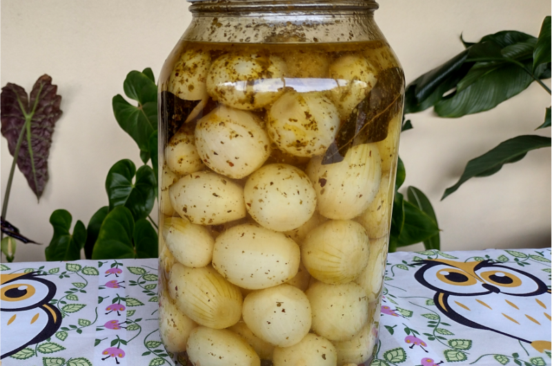 Conserva de Cebola em Casa