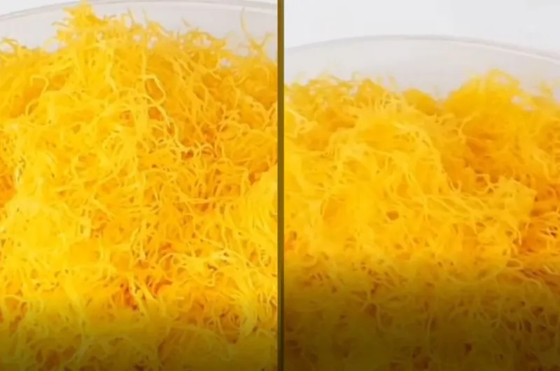 Fio de Ovos