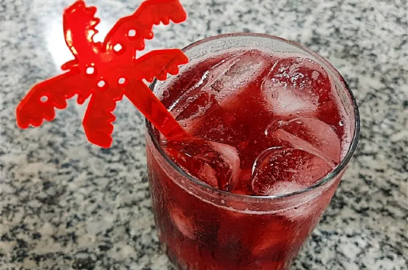 Coquetel de Frutas Vermelhas