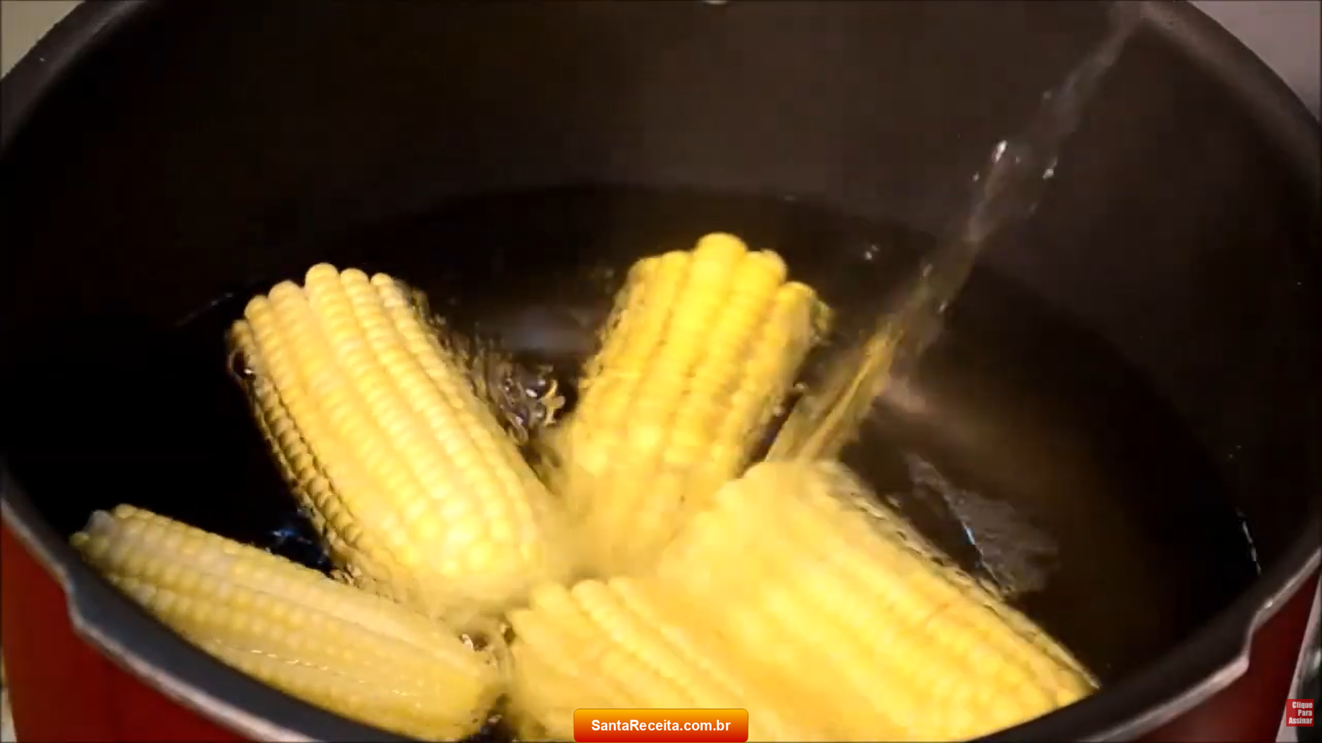 cozinhando-espigas